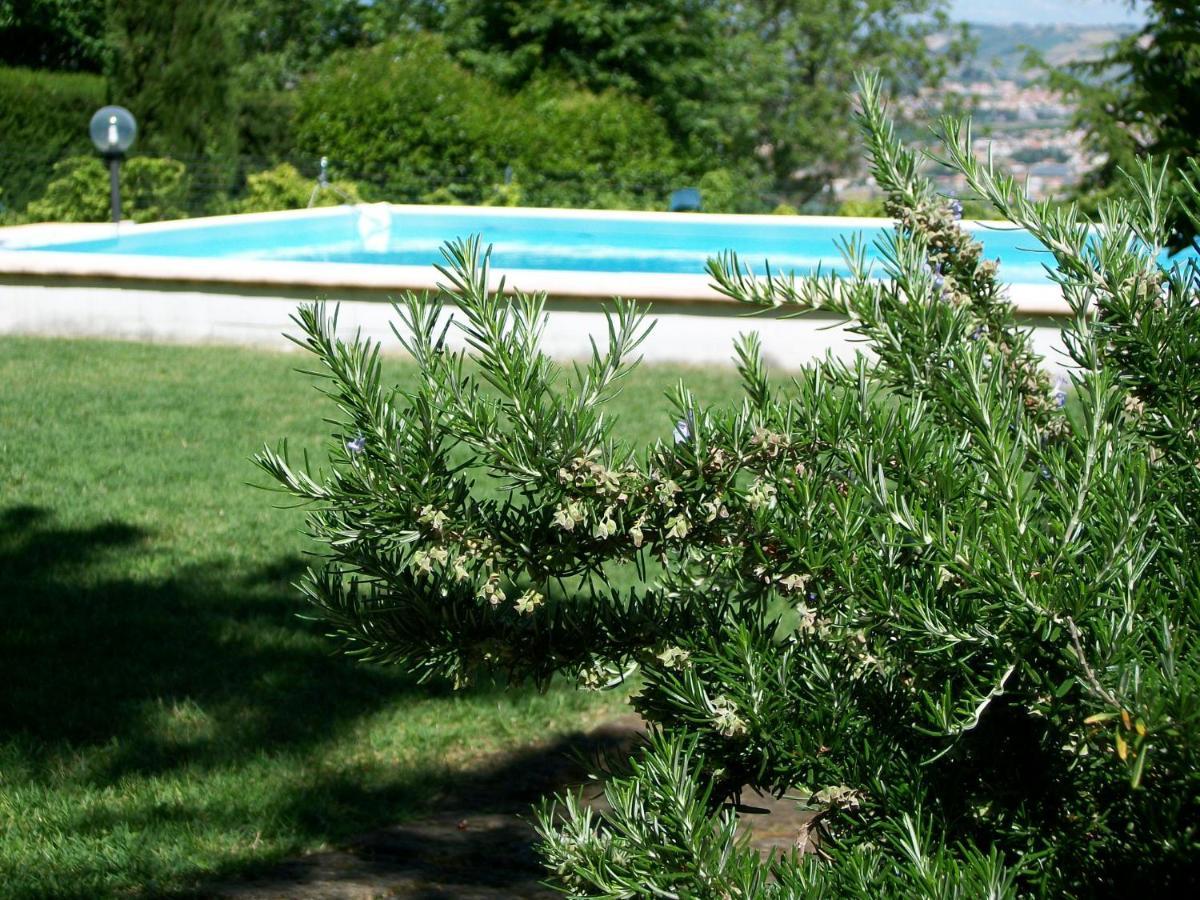 B&B Luna Blu Montesilvano Marina Esterno foto