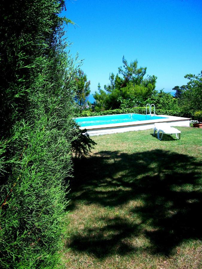 B&B Luna Blu Montesilvano Marina Esterno foto
