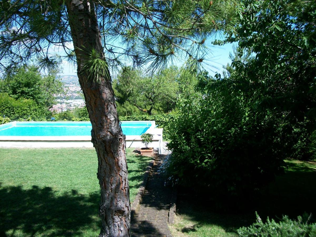 B&B Luna Blu Montesilvano Marina Esterno foto